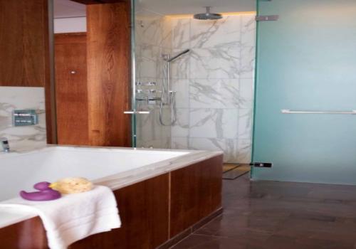 大氣、高貴、融合現(xiàn)代氣息的五星級精品酒店客房衛(wèi)生間設(shè)計效果圖