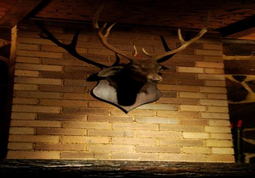 本土特色的哈爾濱洛克凱賓酒吧設(shè)計(jì)效果圖