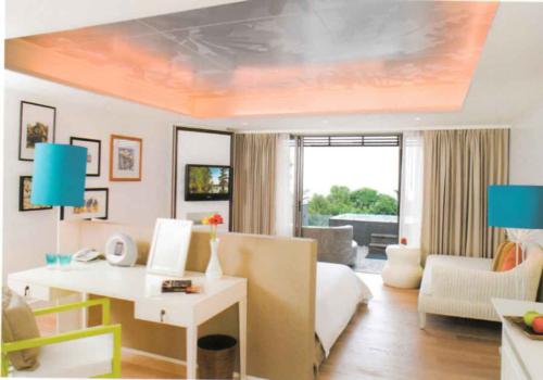 酒店客房設(shè)計(jì)效果圖酒店客房設(shè)計(jì)說明度假酒店客房設(shè)計(jì)