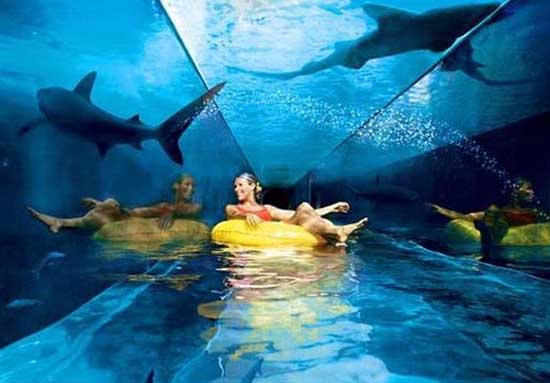 精品酒店設(shè)計(jì)視覺盛宴 迪拜Atlantis奢華酒店設(shè)計(jì)欣賞