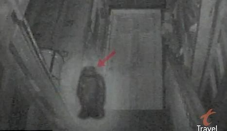 美酒吧被傳頻現(xiàn)幽靈事件 百年前曾是停尸房