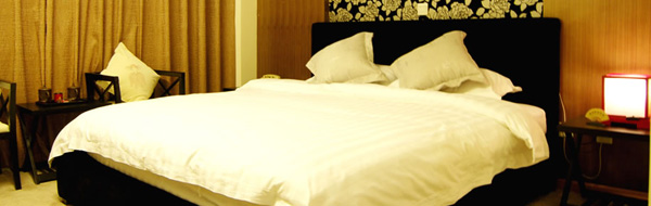 五星級(jí)酒店設(shè)計(jì)案例 北京皇家酒店設(shè)計(jì)說明