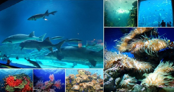 擁有海洋的KTV設(shè)計(jì)