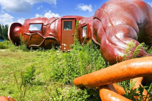 盤點(diǎn)全球重口味兒的另類酒店客房設(shè)計(jì)