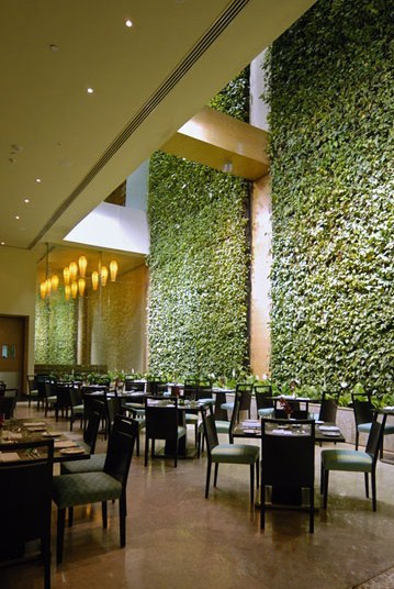 感受皇家就餐尊榮 梔子花頂級餐飲會所