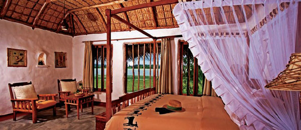 橘子郡卡碧尼度假酒店設(shè)計(jì)  感受最濃郁的地域風(fēng)情