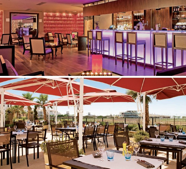 高端商務(wù)酒店設(shè)計(jì)說(shuō)明   瑪撒里亞別墅酒店