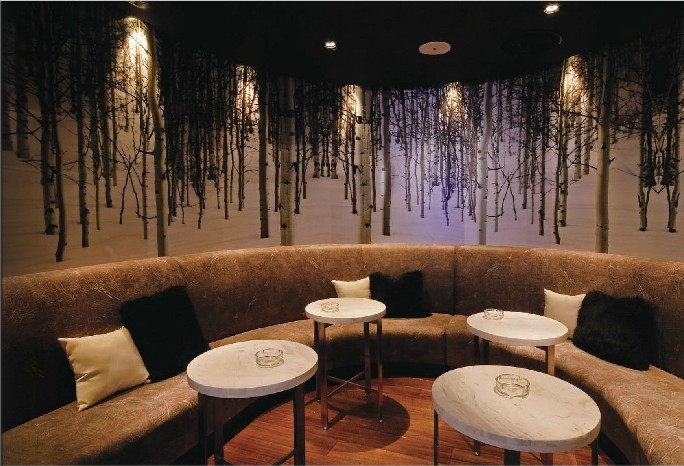 冰與火 上海Absolut Icebar酒吧設(shè)計(jì)