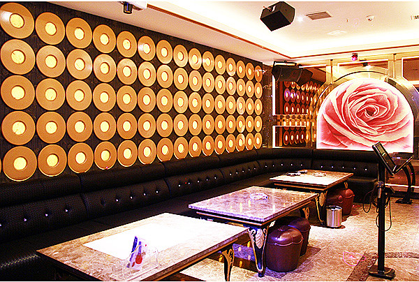 迪樂匯量販?zhǔn)終TV設(shè)計(jì) 帶來殿堂級音樂享受