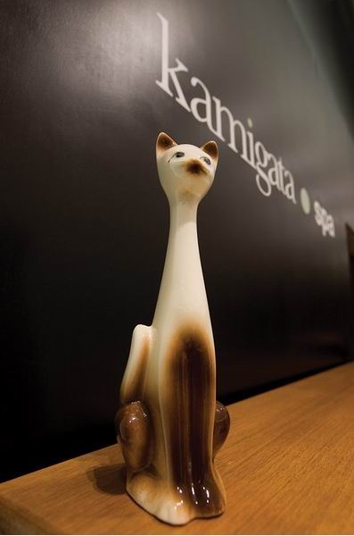 Kamigata Lifestyle spa