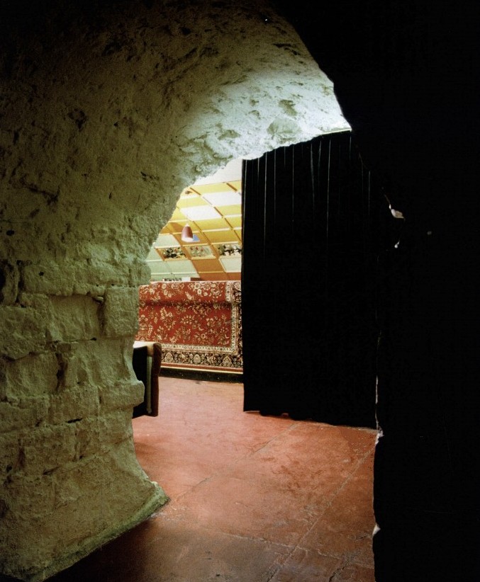 Red Cat俱樂部設計 彰顯酷的特性