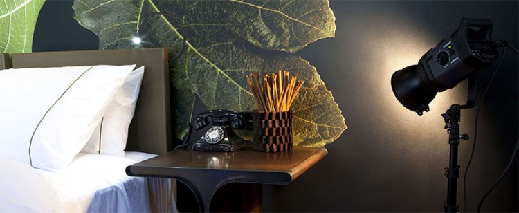 國外無花果樹精品主題酒店客房設(shè)計(jì)欣賞