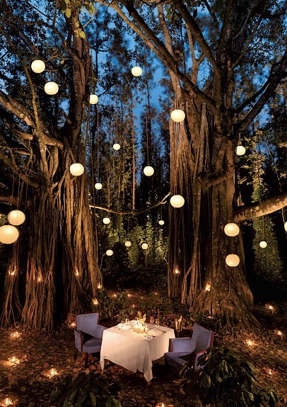 The Serai Chikmagalur 酒店會所