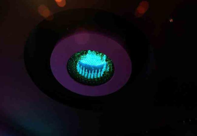 波斯貓個(gè)性酒吧細(xì)部設(shè)計(jì)