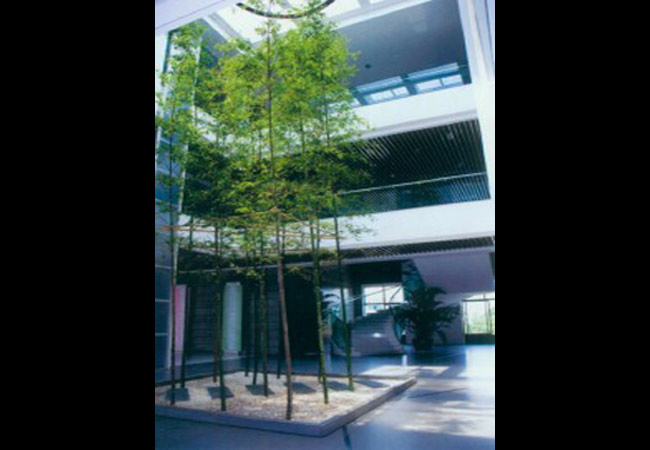 服飾辦公樓設計-外觀